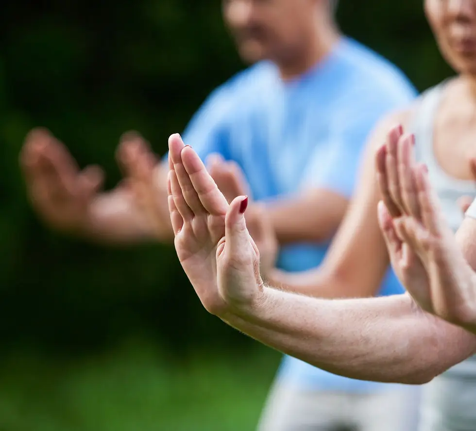 Taiji & Qigong