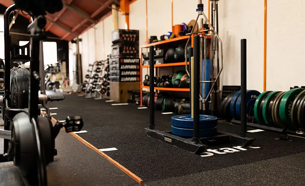 Evolution Gym