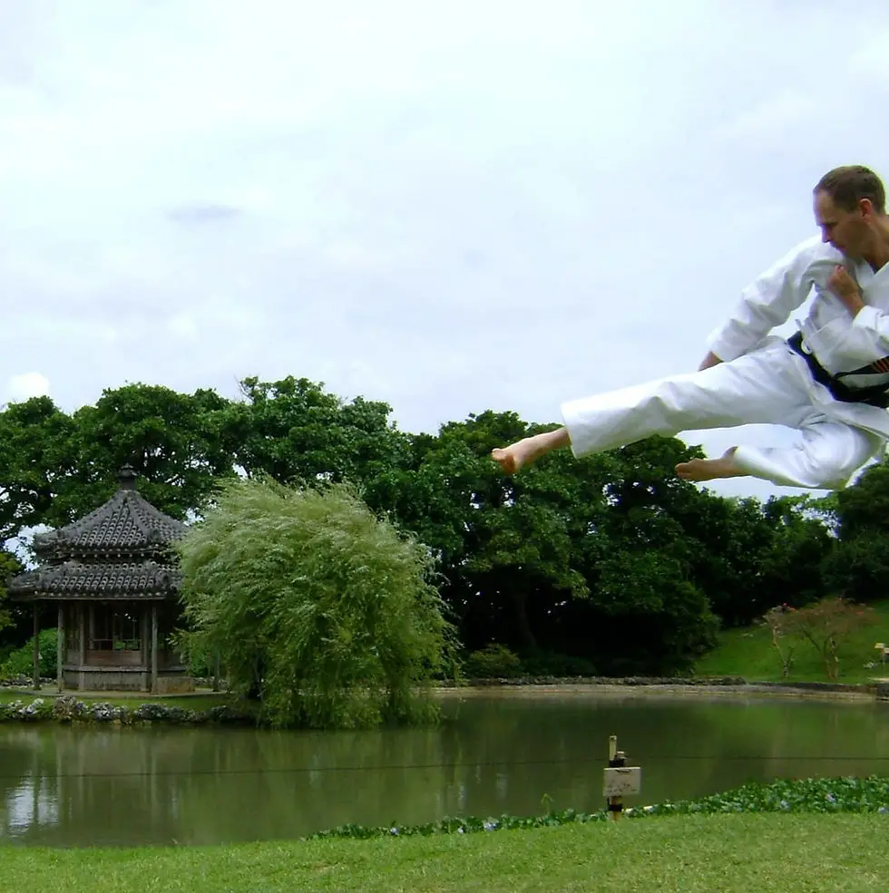 Meibukan Bu-Jutsu Ryu Karate Do