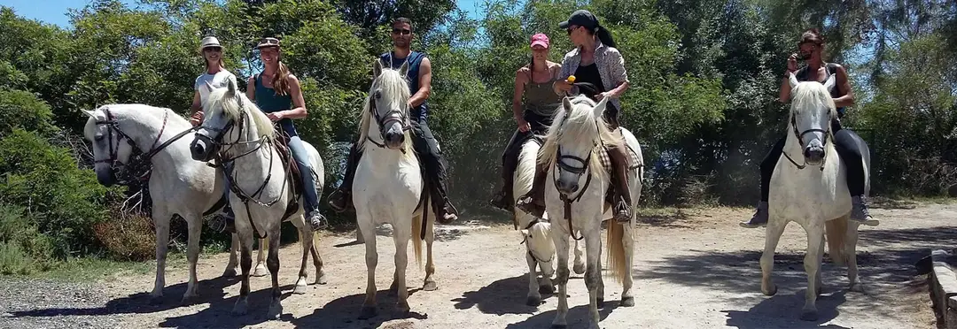 Brenda Center Tourism And Equestrian