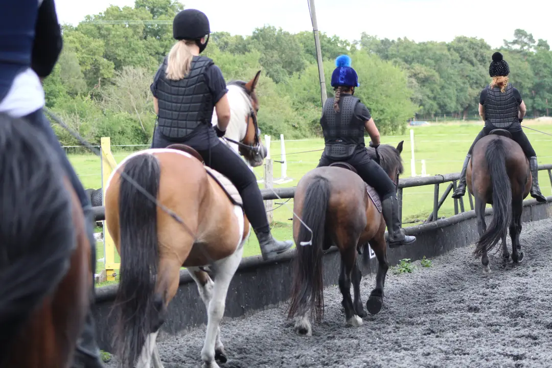 The Chestnut Stables