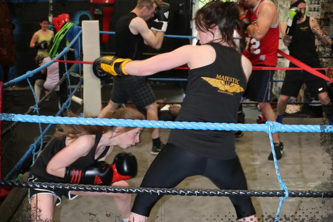 Majestic Boxing (nergie Fitness Tynemouth)