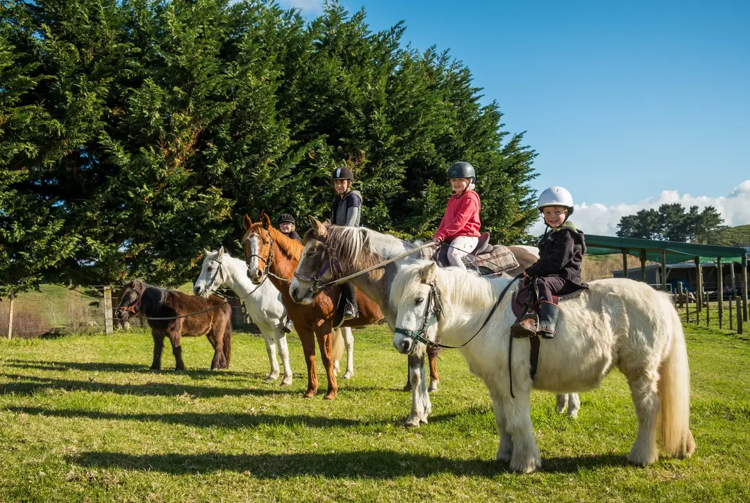 Te Horo Equestrian Centre