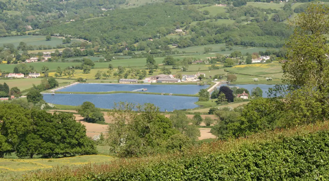 Witcombe Waters Trout Fishery