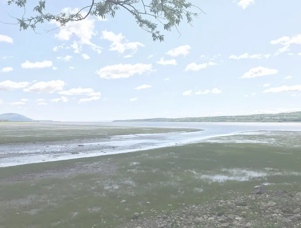 Camping Lac-aux-Flambeaux