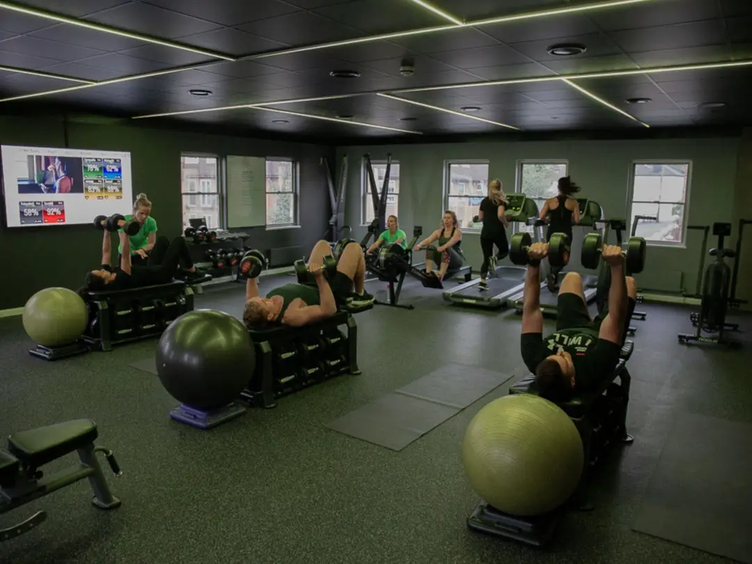 Transform Wellness