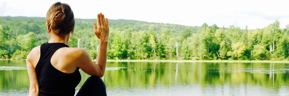 Harmony Holistics