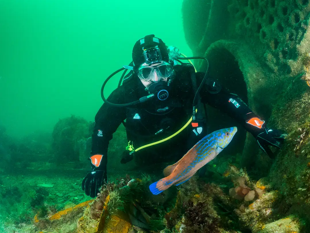 Worcester Divers, Snorkelling & Octopush Club. BSAC & BOA