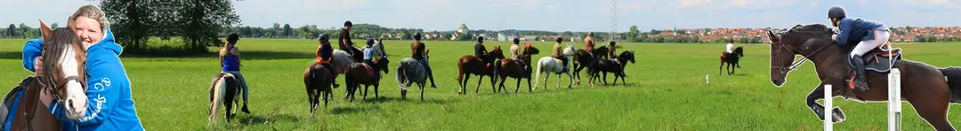 Horse Mon Ami