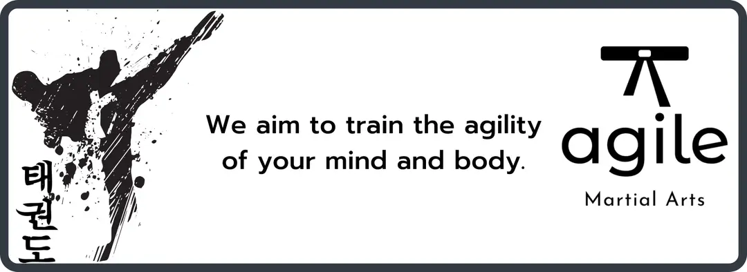 Agile Martial Arts Inc.
