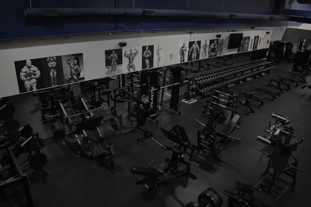 Total Fitness