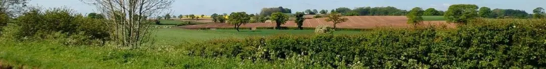 Diss & District Bowls Club