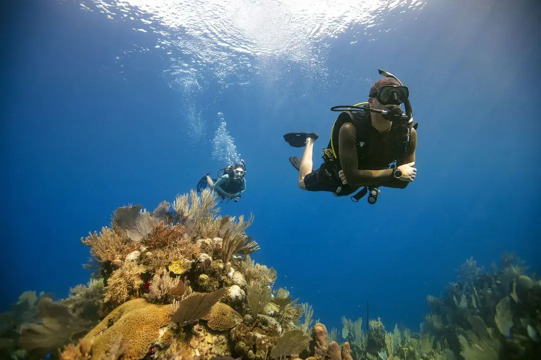 Float N' Flag Dive Centre