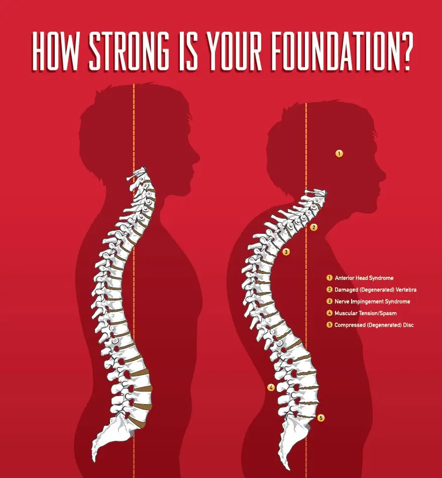 Foundation Neurostructural Chiropractic. Mona Vale