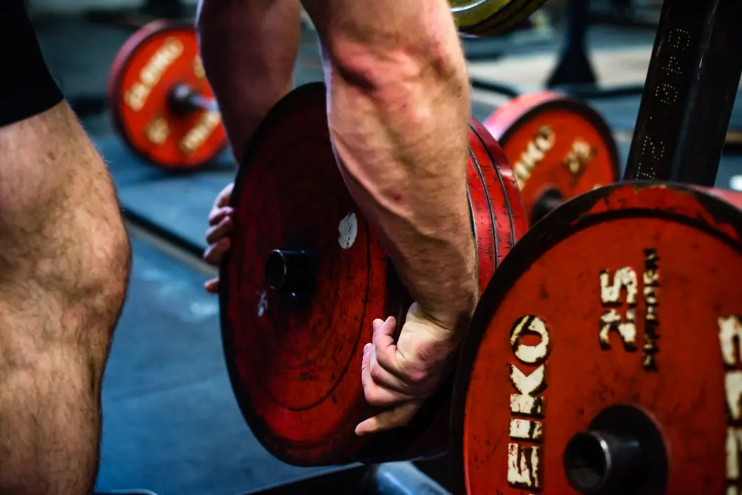 FE Strength and Fitness