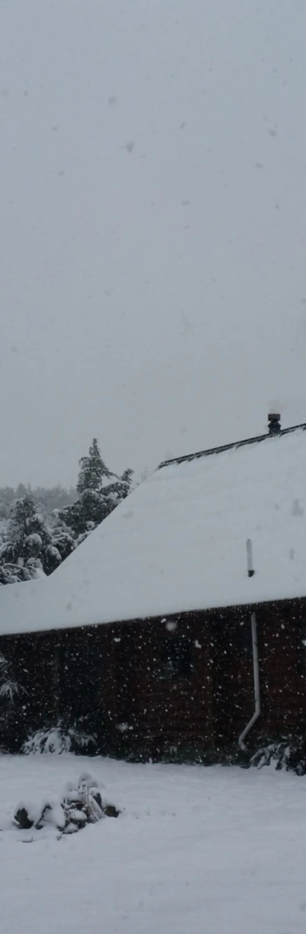 Mt Lyford Alpine Resort