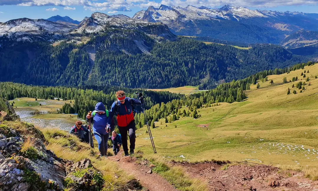 Walk2Fitness Nordic Walking & Guided Walks