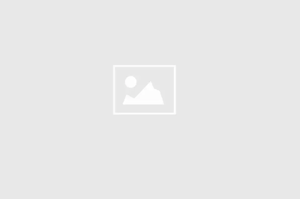 Dimax aquatic services ltd