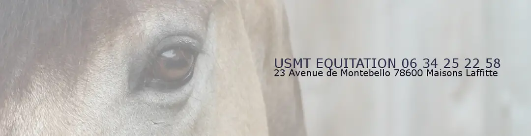 U S M T