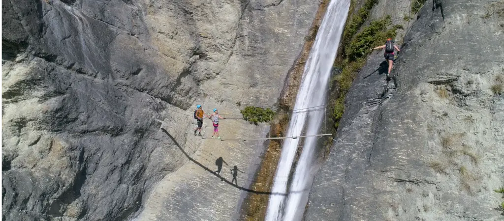 Wildwire Wanaka