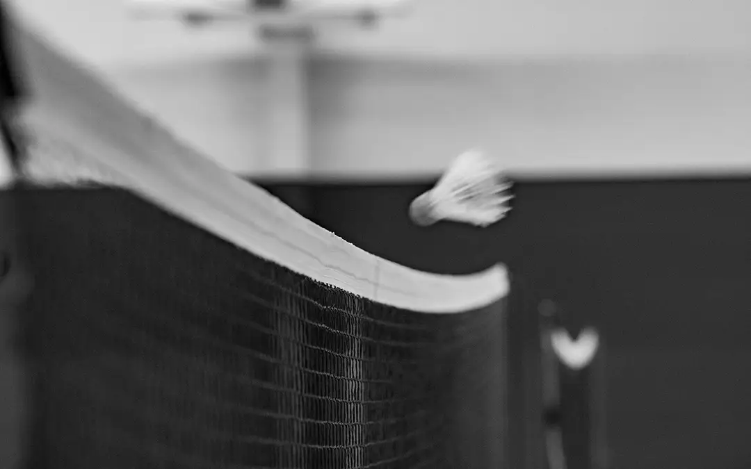 Badminton Guidelois