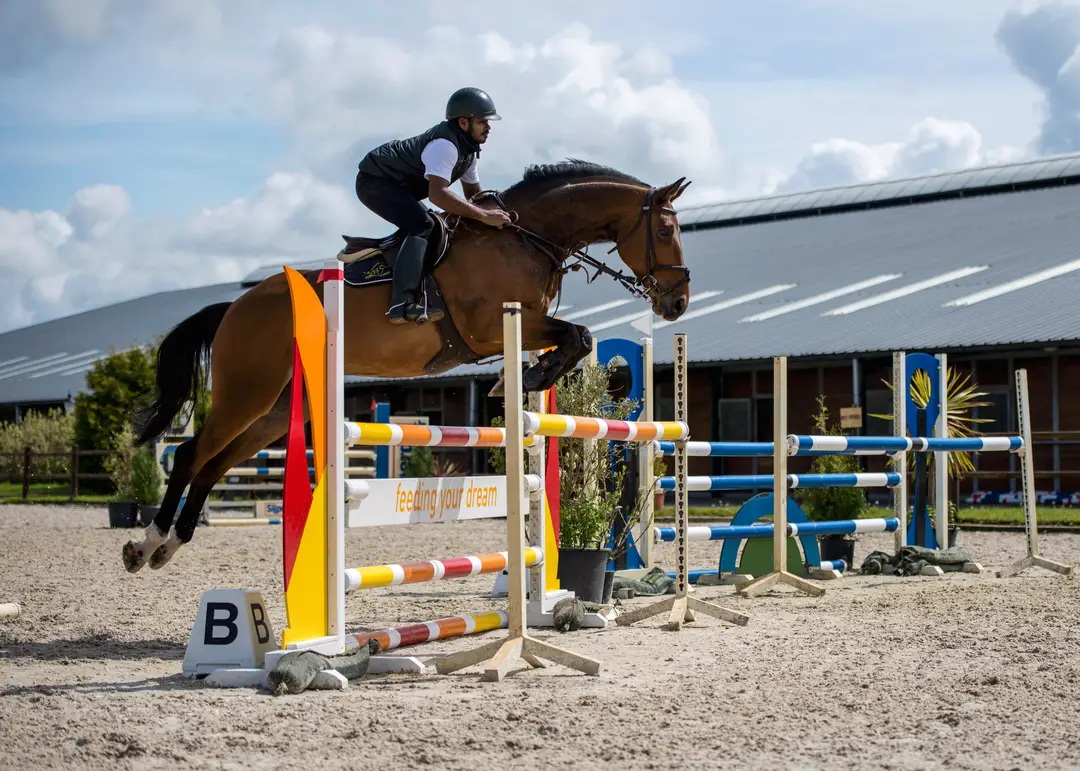 Covai Stables