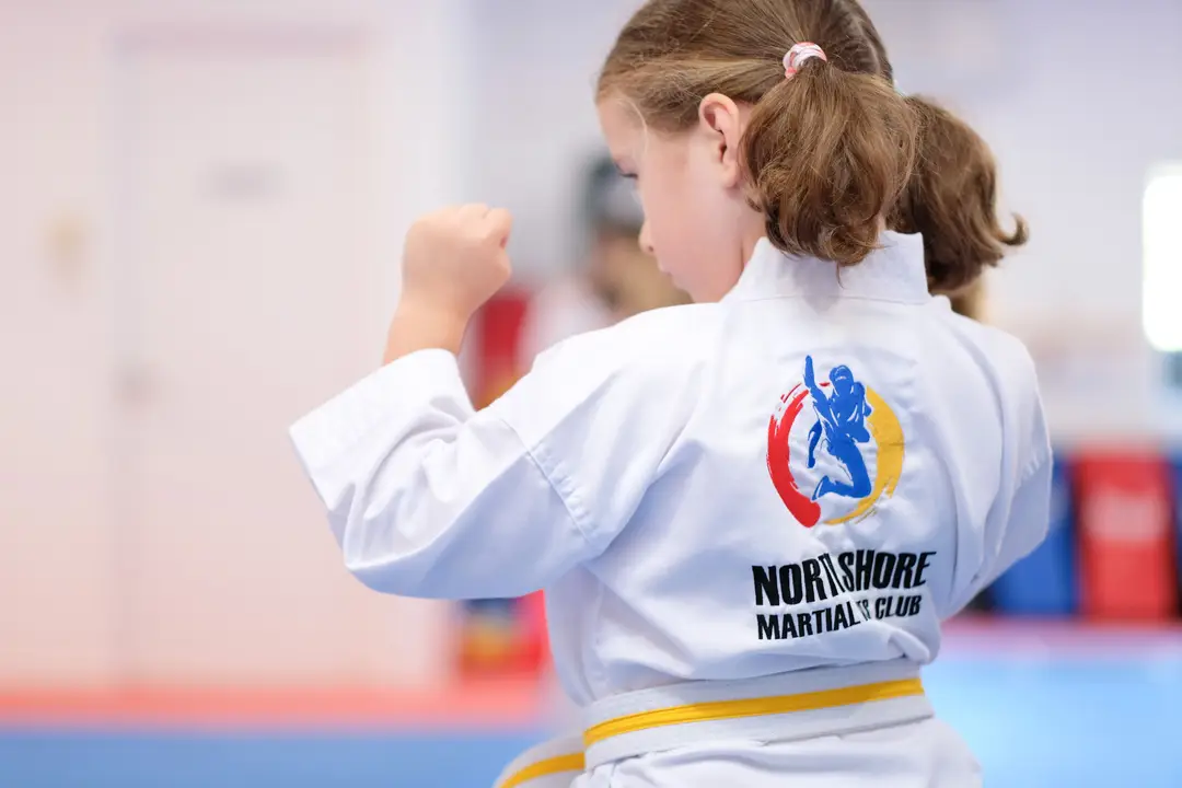 North Shore Martial Arts Club