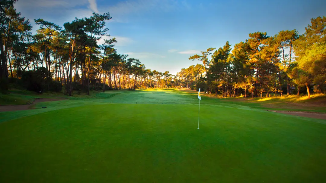 NAS Golf Chiberta