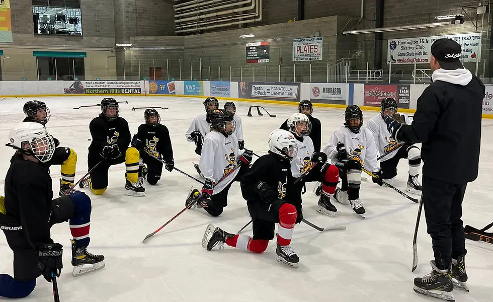 Ninja Hockey