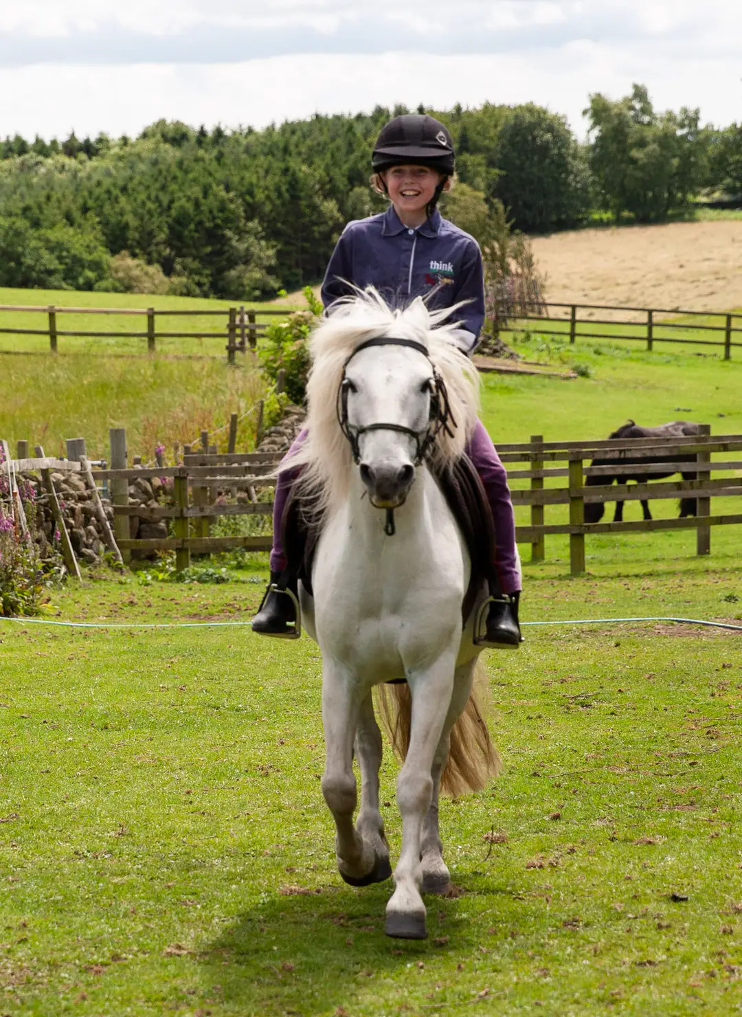 Think Like a Pony