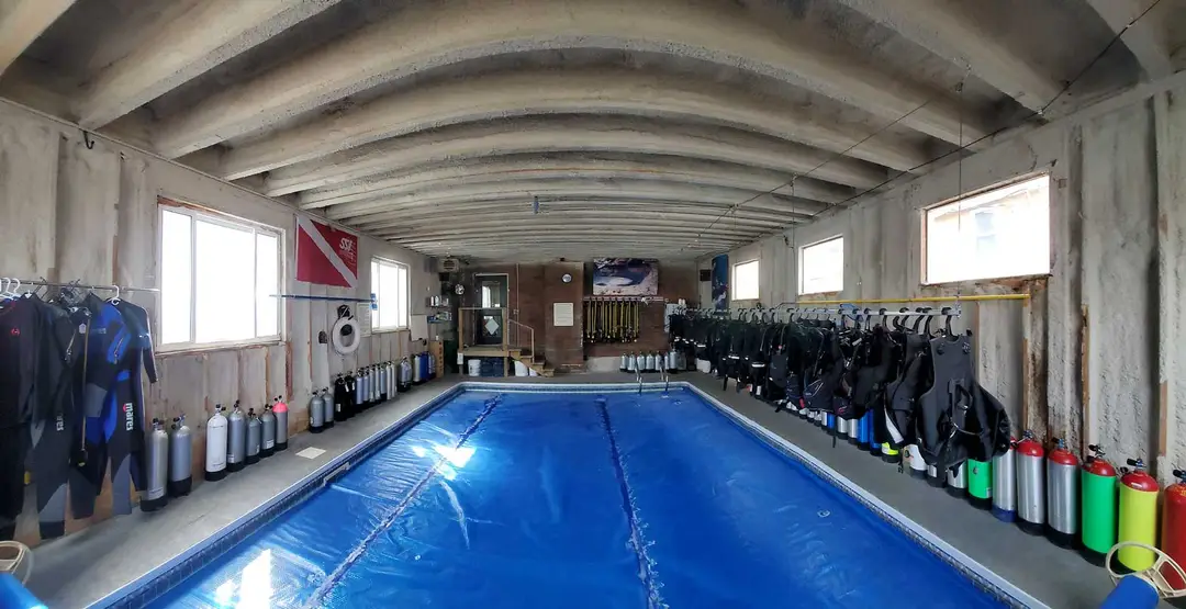 GROUNDHOG DIVERS