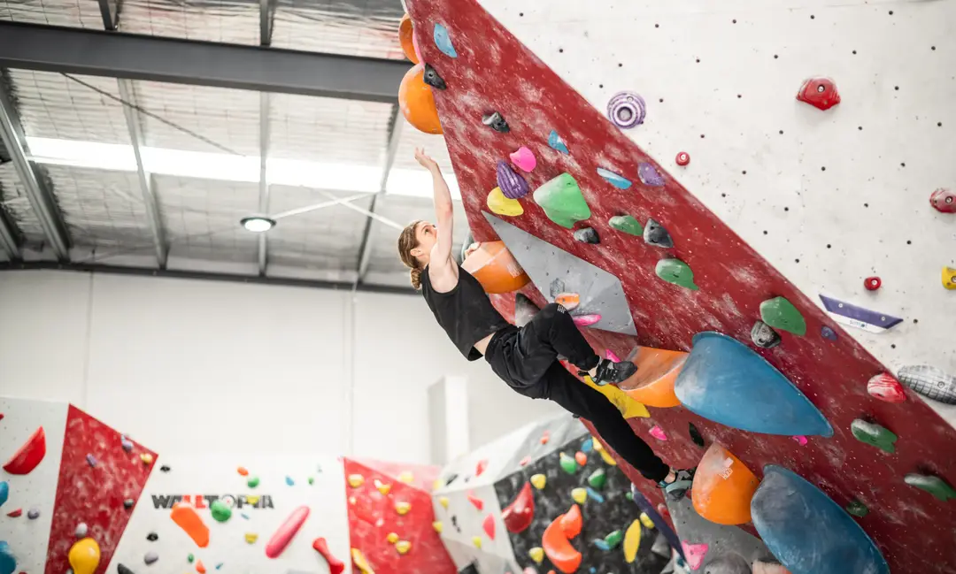 La Roca Boulders
