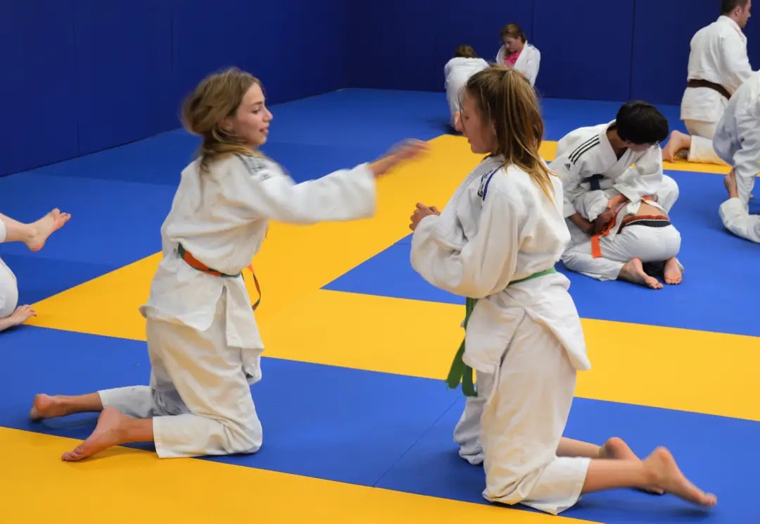 DOJO ESSARTAIS