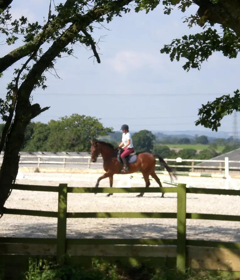 Hitts Barton Equestrian