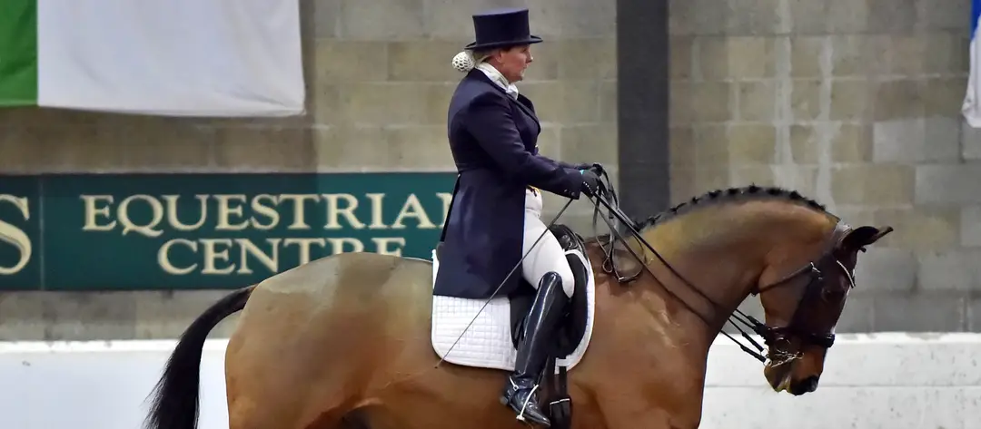 BA Equestrian