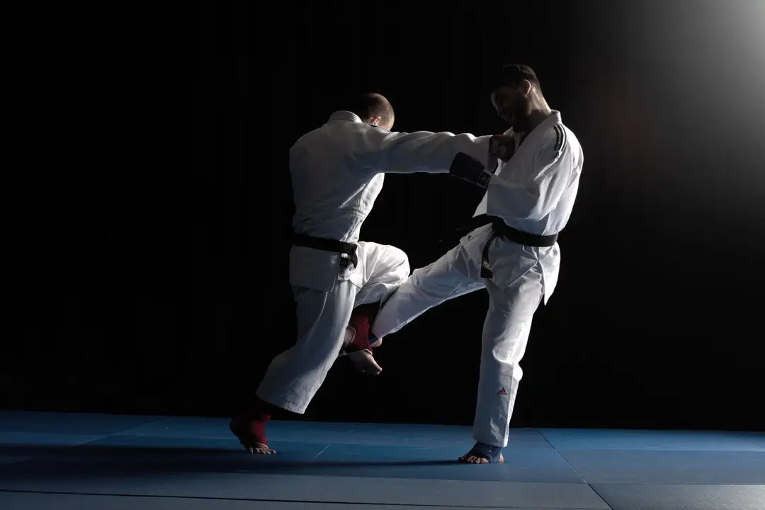 Budo Kyokai