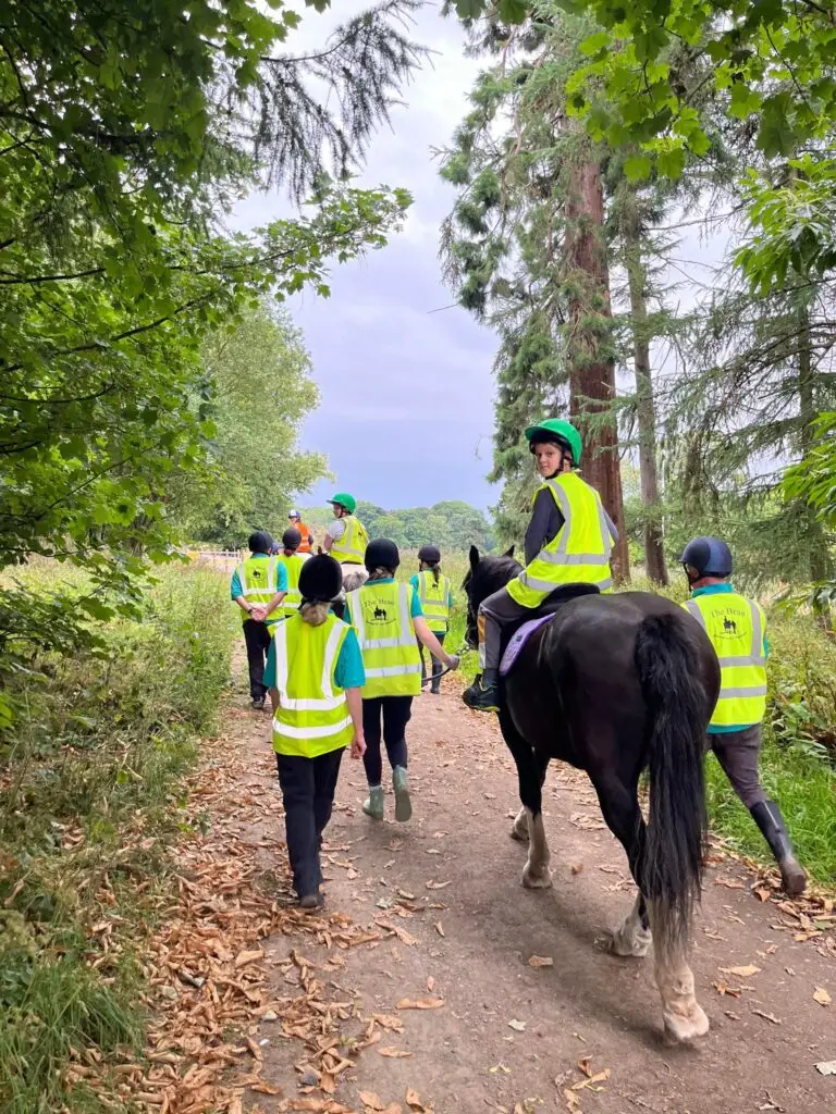 The Brae Riding for the Disabled