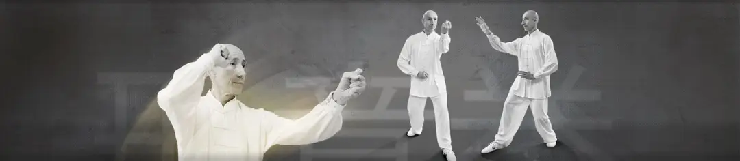 Aikido Taichi Gradignan