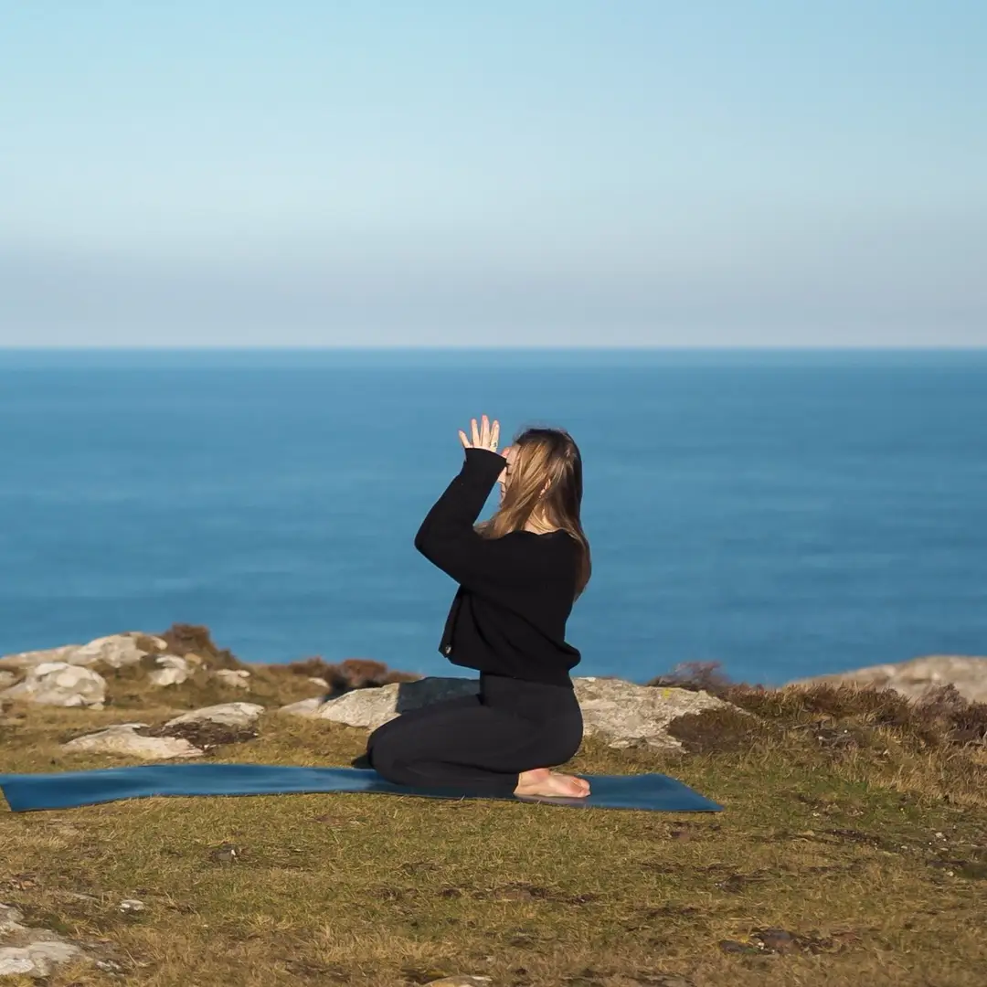 Wild Yoga Studio
