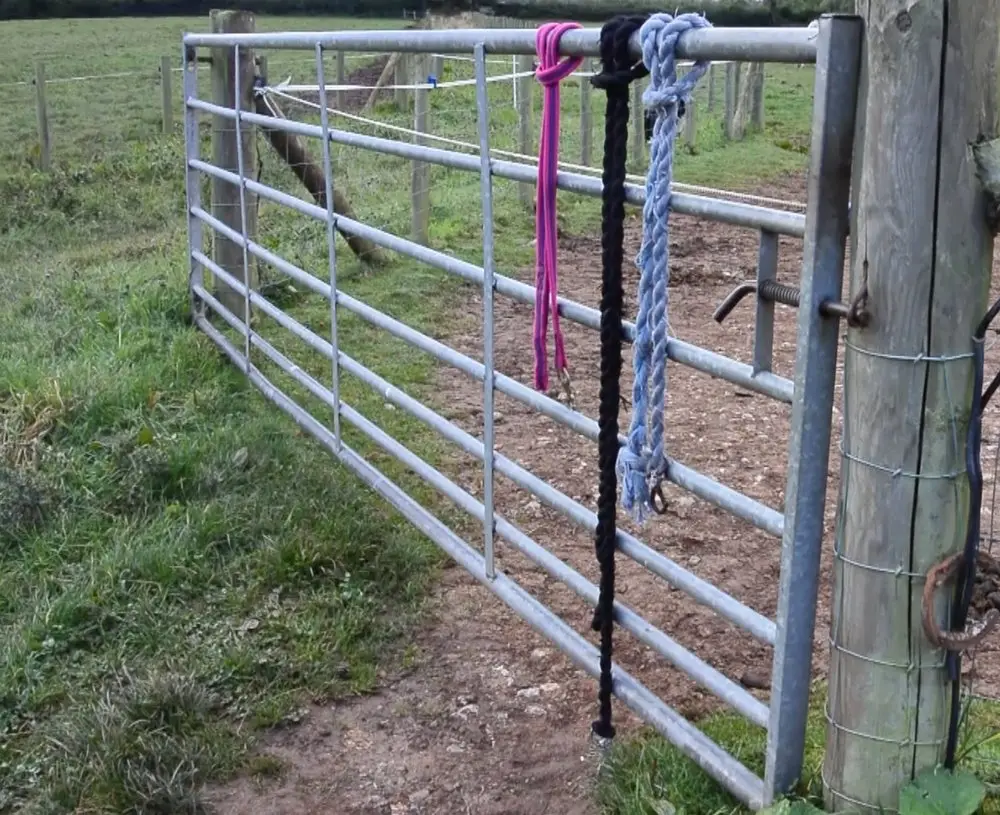 Ivy House Stables