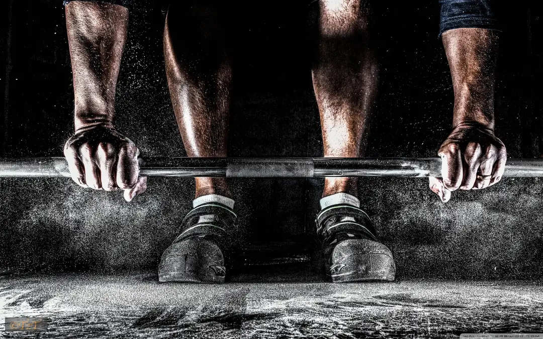 EFN-Executive Fitness and Nutrition