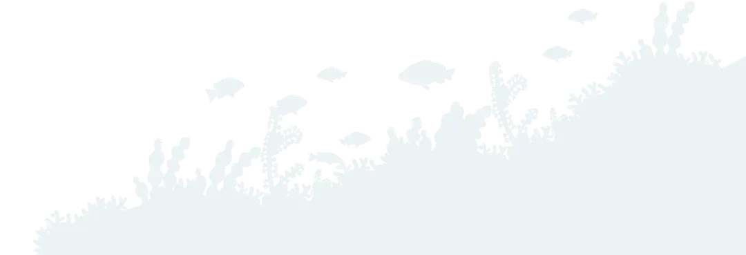 Ecosystem diving center
