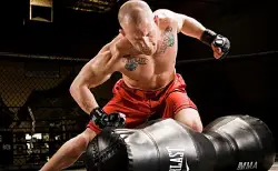 Island MMA Training Ctr Ltd