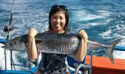 Sydney Fishing Charters