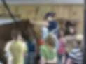 Arabian Horse Association of Eastern Canada