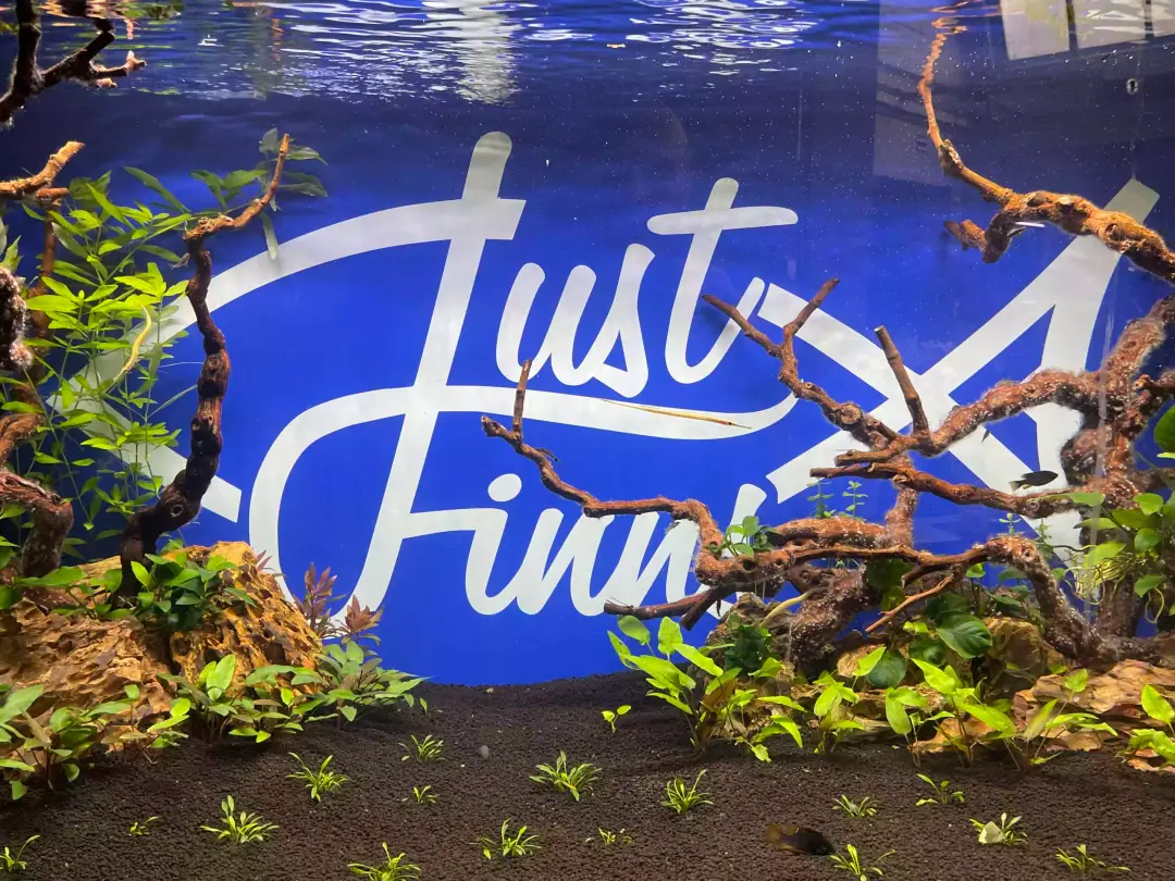 Just Finns