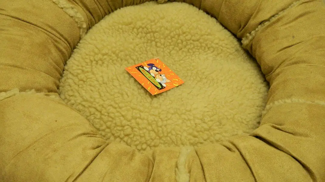 K9 Fun Zone