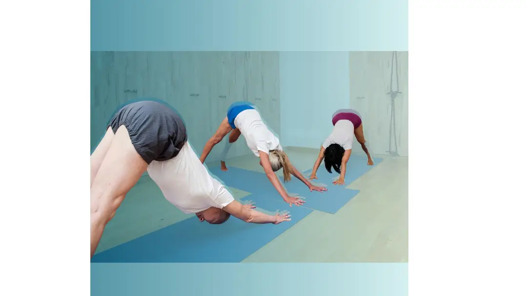 SAMYAMA Yoga IYENGAR 15eme Paris