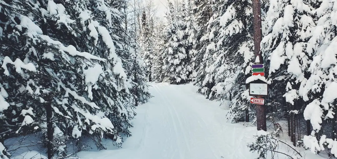 Wasi Cross Country Ski Club