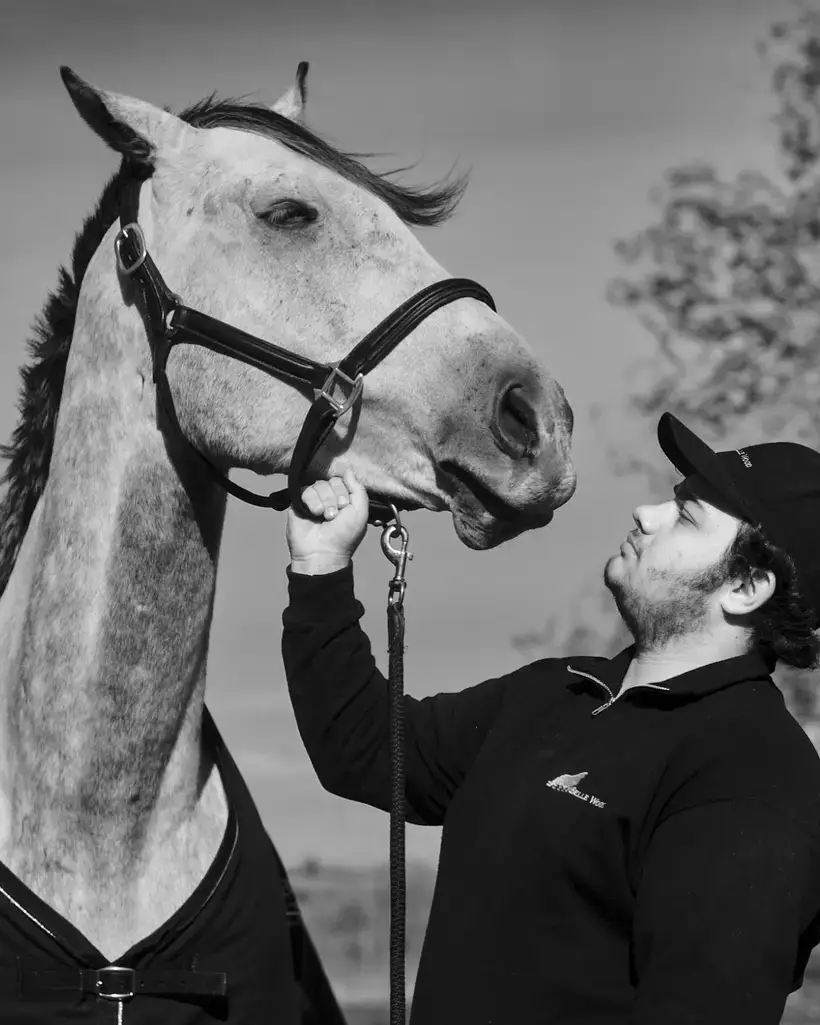 Belle Wood Equestrian Centre